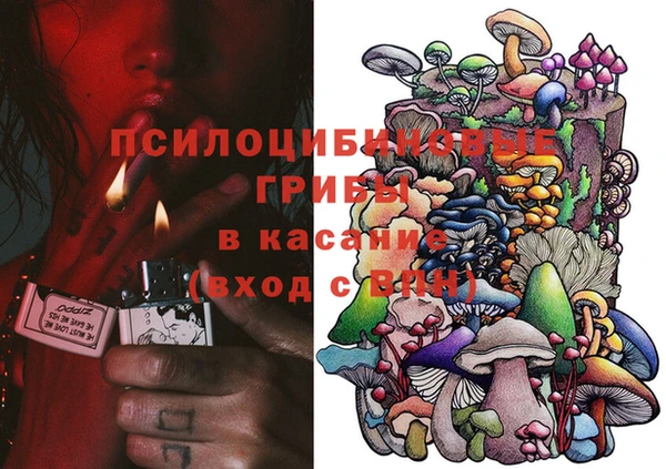 прущие крисы Арсеньев