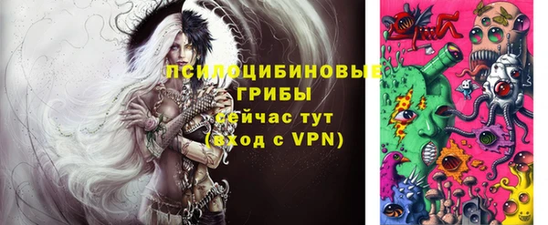 прущие крисы Арсеньев