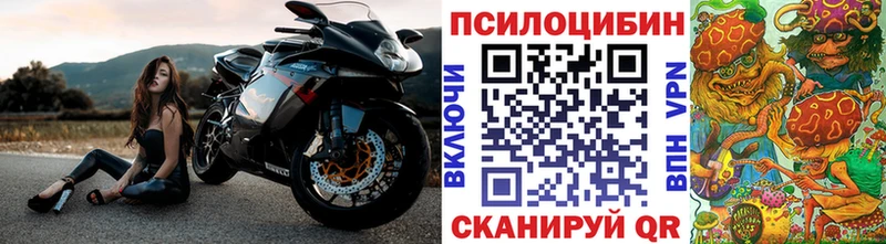 наркота  Переславль-Залесский  Галлюциногенные грибы Psilocybe 