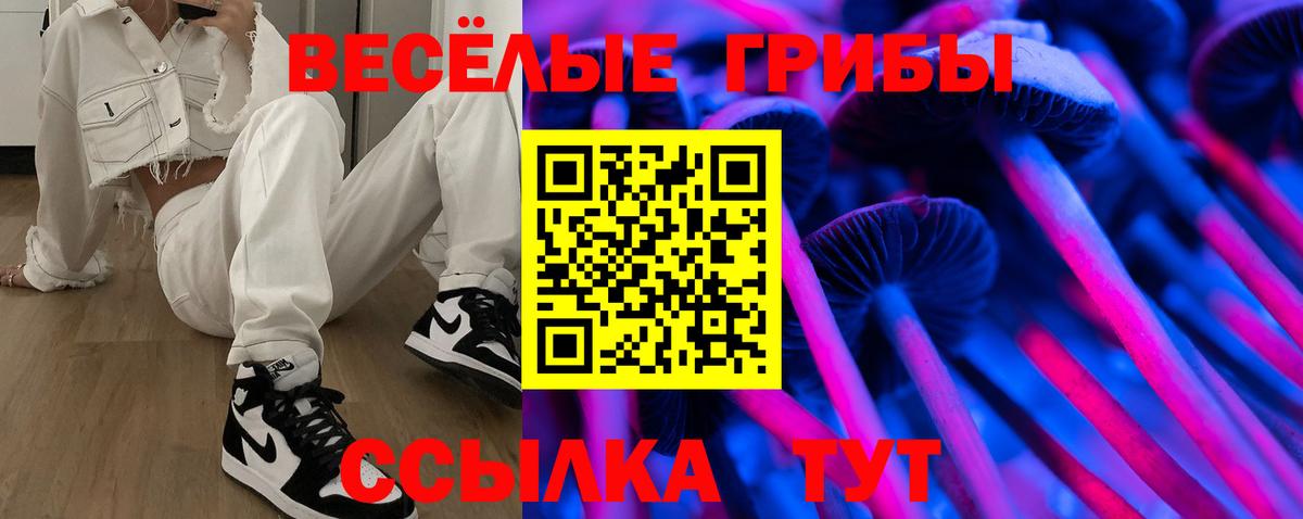 Переславль-Залесский  Псилоцибиновые грибы Magic Shrooms  Вход с VPN 