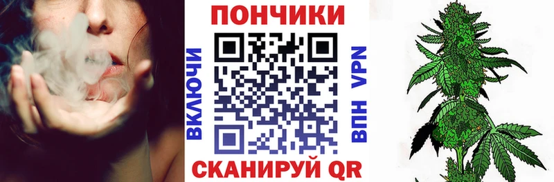 что такое наркотик  Переславль-Залесский  Бошки Шишки ГИДРОПОН 